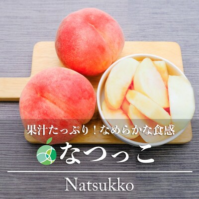 長野県産もも　なつっこ　贈答用　秀　約5kg(14~24玉)