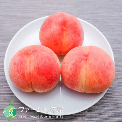 長野県産もも　なつっこ　贈答用　秀　約5kg(14~24玉)
