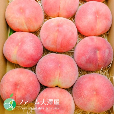 長野県産もも　なつっこ　贈答用　秀　約5kg(14~24玉)