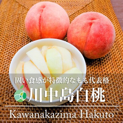 長野県産　川中島白桃　贈答用　秀　約3kg(8から15玉)