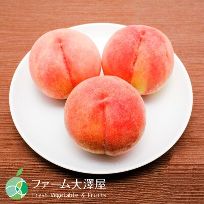 長野県産　川中島白桃　贈答用　秀　約3kg(8から15玉)