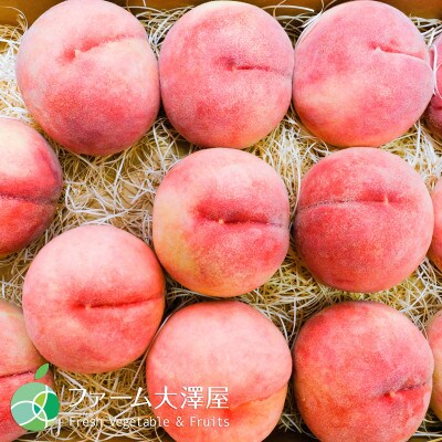 長野県産　川中島白桃　贈答用　秀　約3kg(8から15玉)