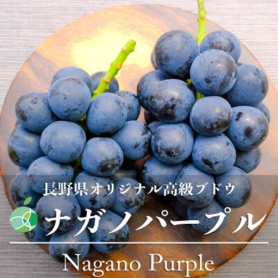 長野県産ナガノパープル　4房(約2kg)【贈答用　秀】