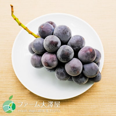 長野県産種なし巨峰　2房(約1kg)【贈答用　秀】
