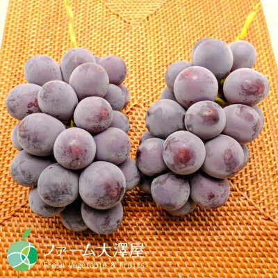 長野県産種なし巨峰　4房(約2kg)【贈答用　秀】