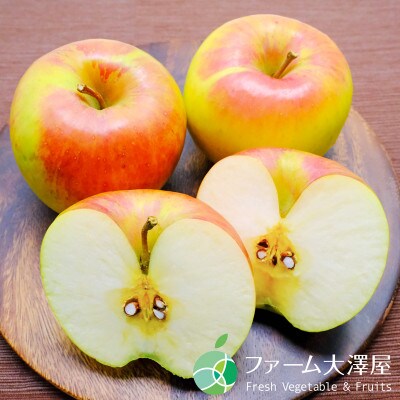 ぐんま名月　チャンピオンりんご　贈答用　秀　約5kg　10～16玉　長野県・志賀高原産