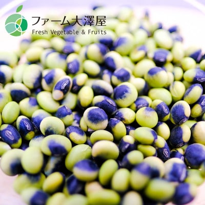 鞍掛豆　くらかけ豆　豆　2022年度産　約400g　長野県小海町産