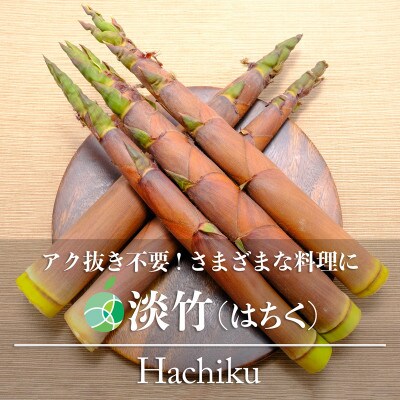 淡竹　天然物　約600g　長野県産