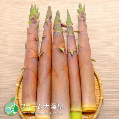 淡竹　天然物　約600g　長野県産