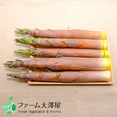 淡竹　天然物　約600g　長野県産