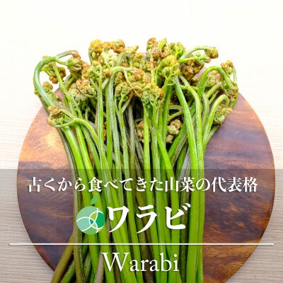 ワラビ　天然物　アク取り用の木炭付き　約1kg　長野県産