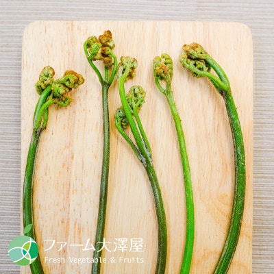 ワラビ　天然物　アク取り用の木炭付き　約1kg　長野県産