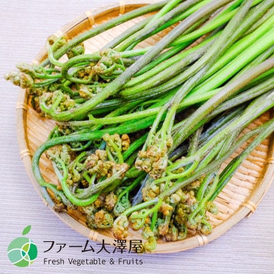 ワラビ　天然物　アク取り用の木炭付き　約1kg　長野県産