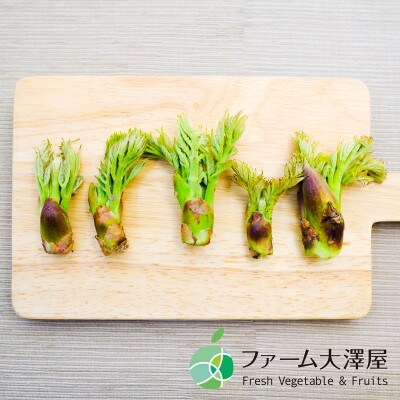 タラの芽　山菜　約100g　長野県産