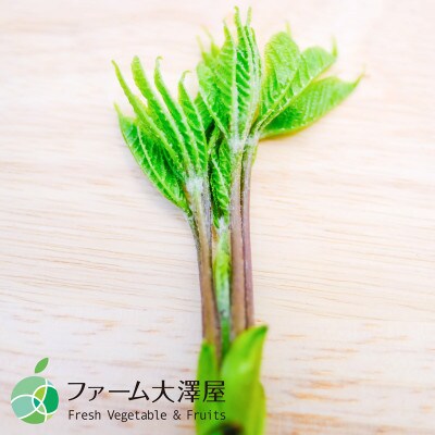 コシアブラ　天然物　約400g　長野県産