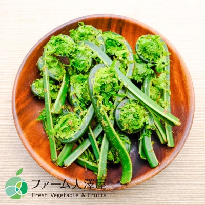 コゴミ　天然物　約200g　長野県産