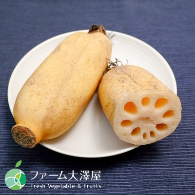 小林さんの綿内れんこん　伝統野菜　約1kg　長野県長野市産