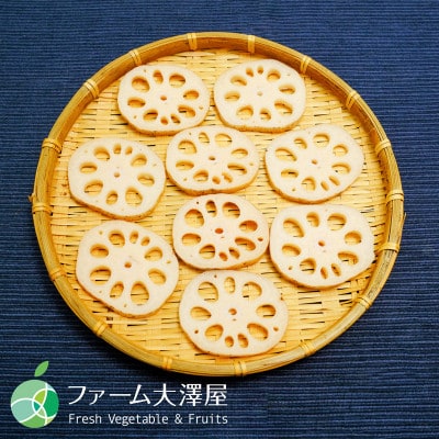小林さんの綿内れんこん　伝統野菜　約2kg　長野県長野市産