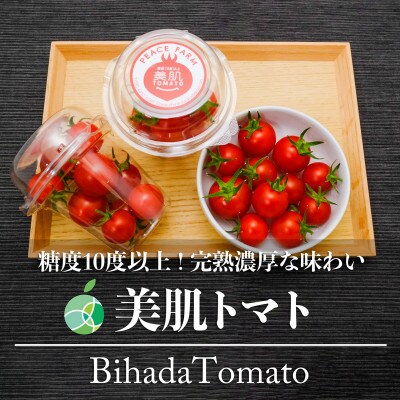 美肌トマト　高糖度　糖度10度以上　濃厚な味　2パック　約250g　長野県須坂市産