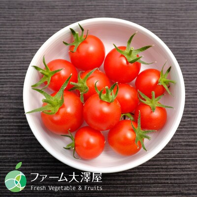 美肌トマト　高糖度　糖度10度以上　濃厚な味　2パック　約250g　長野県須坂市産