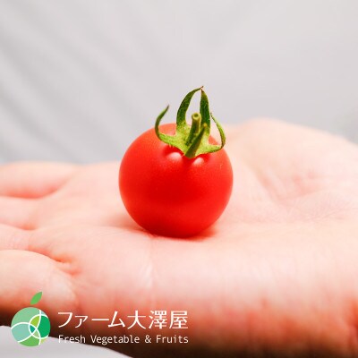 美肌トマト　高糖度　糖度10度以上　濃厚な味　2パック　約250g　長野県須坂市産