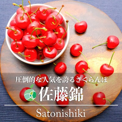 佐藤錦　さくらんぼ　L～2L　秀　約400g　長野県産