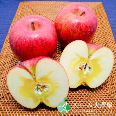 サンふじ　チャンピオンりんご　贈答用　秀　約1.4kg　4～5玉　長野県・志賀高原産