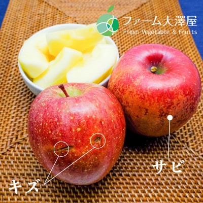養田さんのはねだしりんご　サンふじ　サビ・キズあり　家庭用　約1.4kg　4-5玉