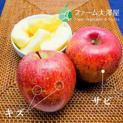 養田さんのはねだしりんご　サンふじ　サビ・キズあり　家庭用　約5kg　10-16玉