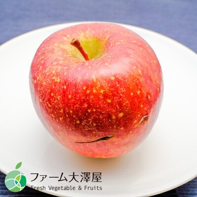 養田さんのはねだしりんご　サンふじ　サビ・キズあり　家庭用　約5kg　10-16玉