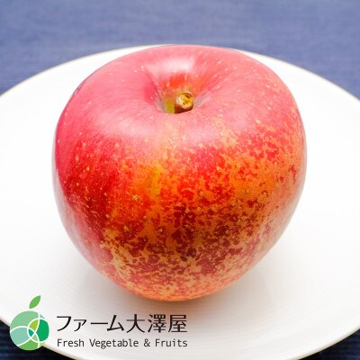 養田さんのはねだしりんご　サンふじ　サビ・キズあり　家庭用　約5kg　10-16玉