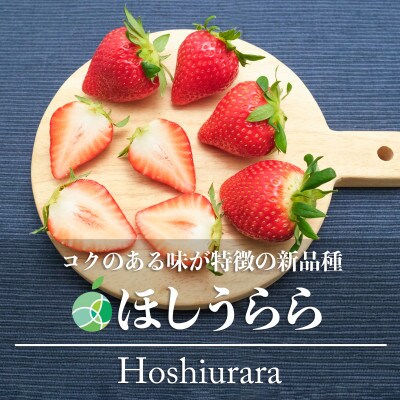 ほしうらら　いちご　6パック　30～90粒　長野県中野市産