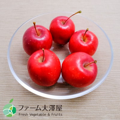 長野県産　アルプス乙女　姫りんご　家庭用　約2kg(50-80玉)