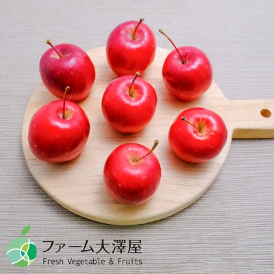 長野県産　アルプス乙女　姫りんご　家庭用　約2kg(50-80玉)