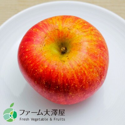 サビ・キズあり　サンふじ　家庭用　約5kg　9-16玉