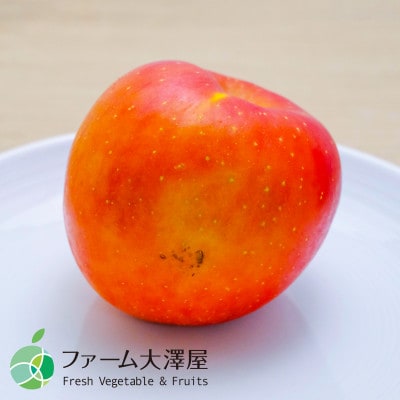 サビ・キズあり　サンふじ　家庭用　約5kg　9-16玉