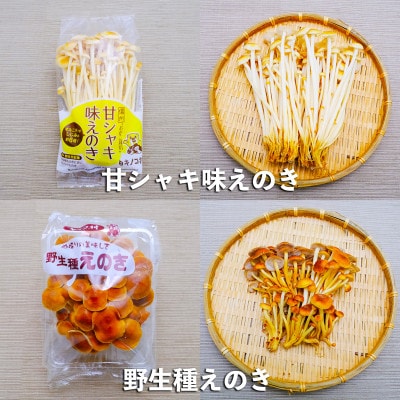 新鮮生きのこセット　6種類　各2パック(合計12パック)　長野県須坂市産