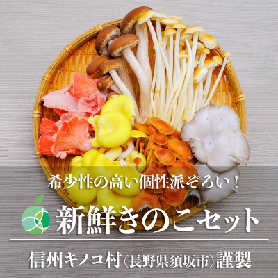 新鮮生きのこセット　大　6種類　各1パック(合計6パック)　長野県須坂市産