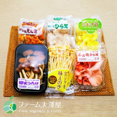 新鮮生きのこセット　大　6種類　各1パック(合計6パック)　長野県須坂市産