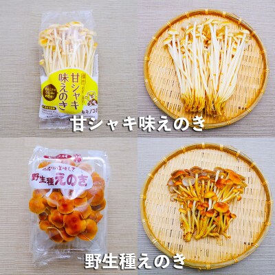 新鮮生きのこセット　大　6種類　各1パック(合計6パック)　長野県須坂市産