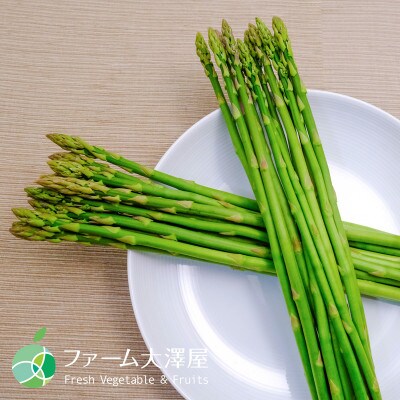グリーンアスパラガス　細　約500g　35-55本　長野県産