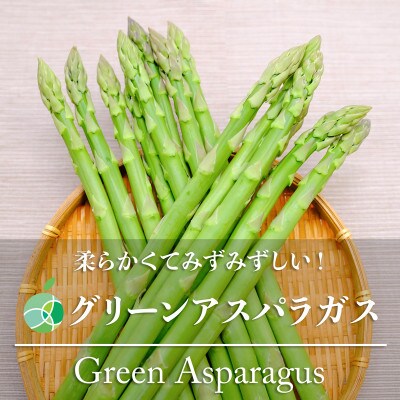 グリーンアスパラガス　約500g　L-2L　15-30本　長野県産