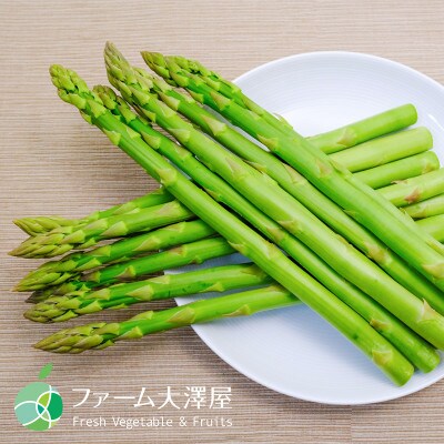 グリーンアスパラガス　約500g　L-2L　15-30本　長野県産