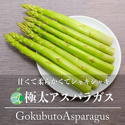 極太アスパラガス　グリーンアスパラガス　約500g　3L-4L　8-10本　長野県産