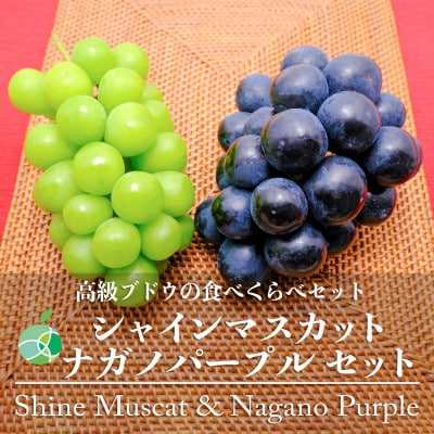 シャインマスカット+ナガノパープルセット　秀　約1kg　各1房