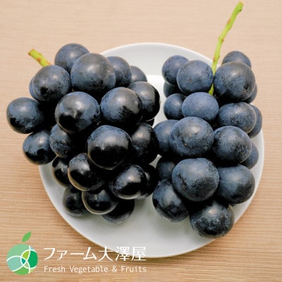 シャインマスカット+ナガノパープルセット　秀　約1kg　各1房