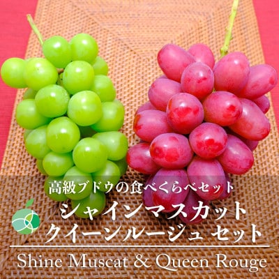 シャインマスカット+クイーンルージュセット　秀　約1kg　各1房