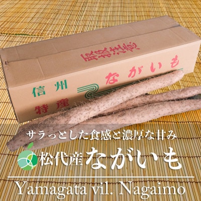 松代産ながいも　約5Kg　長野県長野市松代産