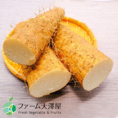 松代産ながいも　約5Kg　長野県長野市松代産