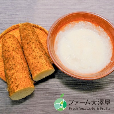 松代産ながいも　約5Kg　長野県長野市松代産